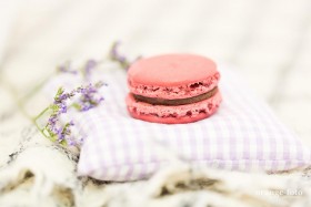 Macaronmanufaktur Macarons Perchtoldsdorf Wien Macaronmanufaktur Macarons Perchtoldsdorf Wien